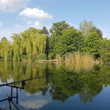 Boglarka Horgasznyaralo Villa Gyomaendrőd Exteriör bild