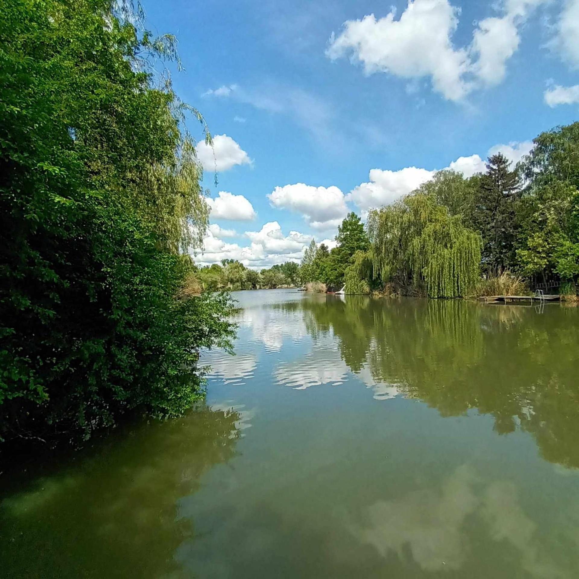 Boglarka Horgasznyaralo Villa Gyomaendrőd Exteriör bild