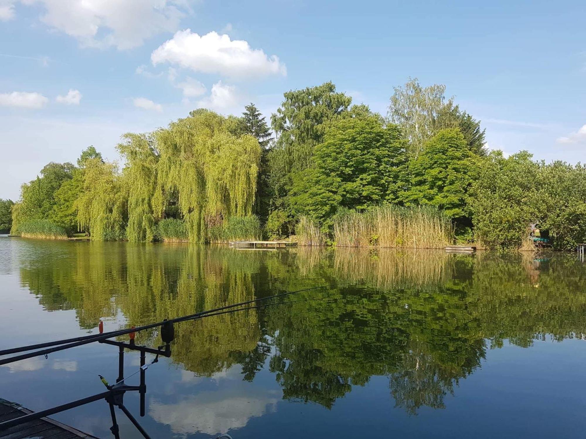 Boglarka Horgasznyaralo Villa Gyomaendrőd Exteriör bild